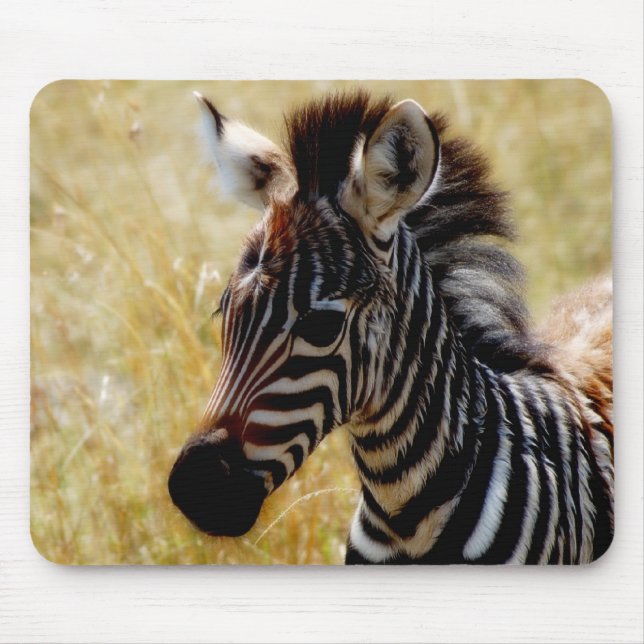 Tapis De Souris Mousepads de faune de poulain de zèbre (Devant)