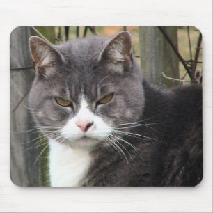Tapis De Souris mousepads fâchés de chat