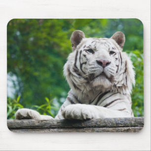 Tapis De Souris Mousepée blanche Tigre
