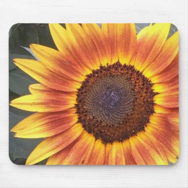 Tapis De Souris Mousepée de tournesol jaune N orange (Devant)
