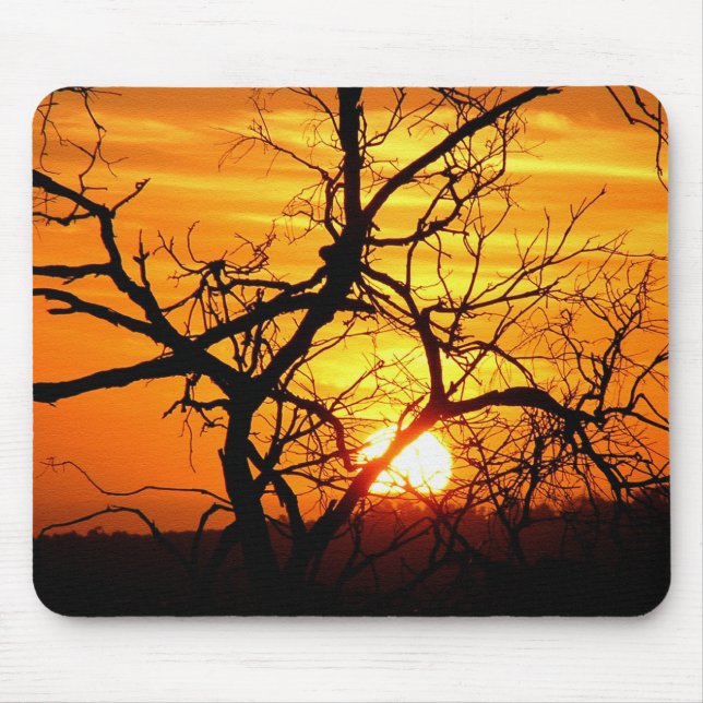 Tapis De Souris Mousepes silhouettes de l'arbre du coucher de sole (Devant)