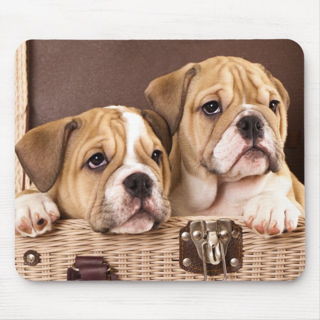 Tapis De Souris Mousepties de Bulldog (Devant)