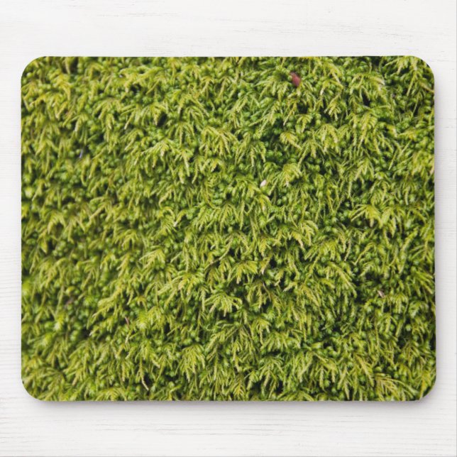 Tapis De Souris Mousse verte (Devant)