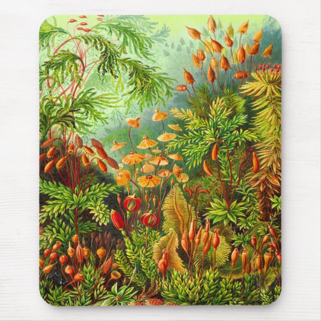 Tapis De Souris Mousses (Devant)