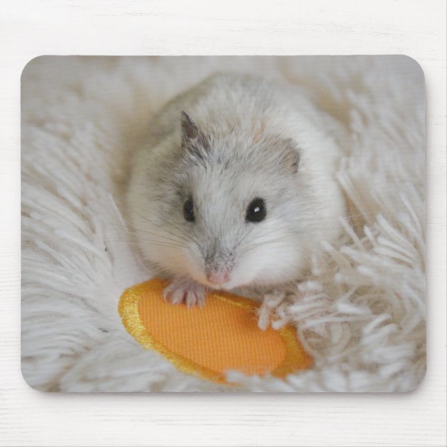 Tapis De Souris Moustiquaire blanc nain (Devant)