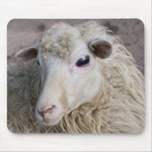 Tapis de souris mouton