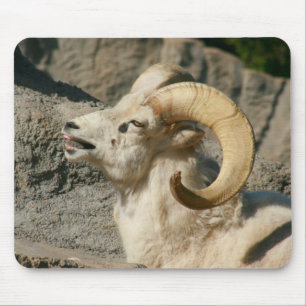 Tapis De Souris Mouton de Bighorn riant