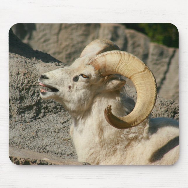 Tapis De Souris Mouton de Bighorn riant (Devant)