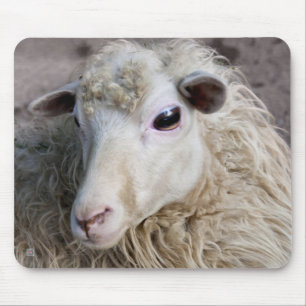 Tapis De Souris Mouton drôle