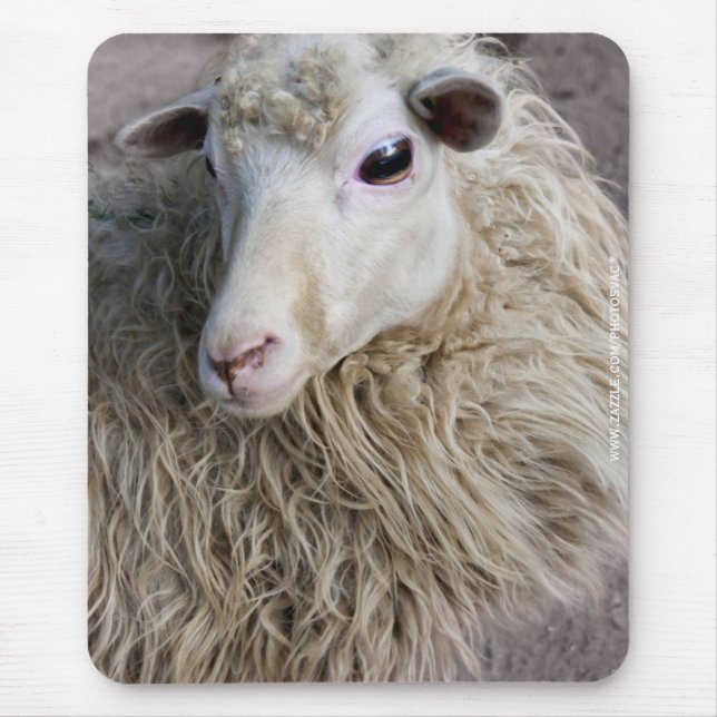 Tapis De Souris Mouton drôle (Devant)