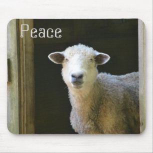 Tapis De Souris Mouton pacifique