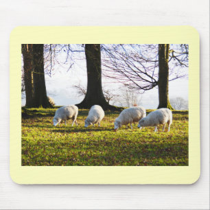 Tapis De Souris Moutons au soleil d'hiver