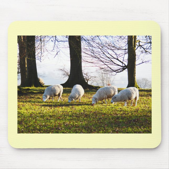 Tapis De Souris Moutons au soleil d'hiver (Devant)