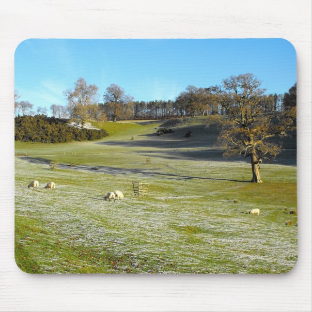 Tapis De Souris Moutons dans la vallée gelée (Devant)