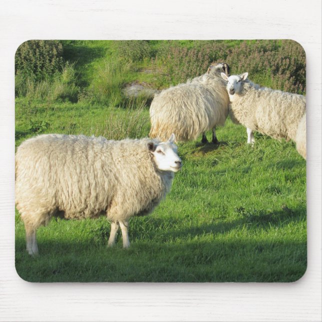 Tapis De Souris Moutons irlandais (Devant)