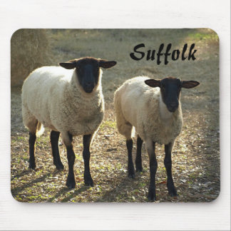 Tapis De Souris Moutons Suffolis Mouton Lard Jour Soleil Bricolage