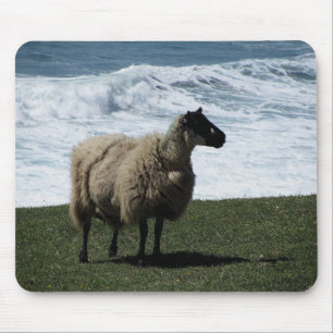 Tapis De Souris Moutons sur le littoral du sud sauvage de Devon