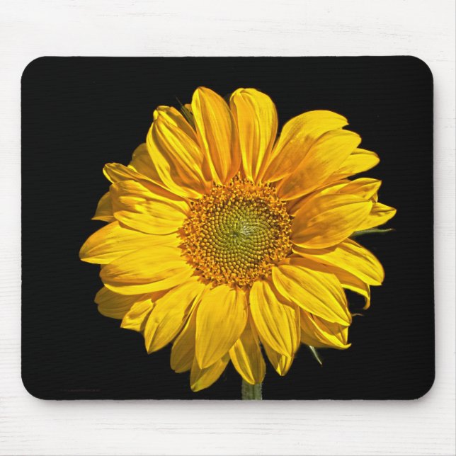 Tapis De Souris Mpcna de tournesol (Devant)