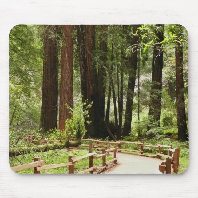 Tapis De Souris Muir Woods Chemin I Nature Photographie (Devant)