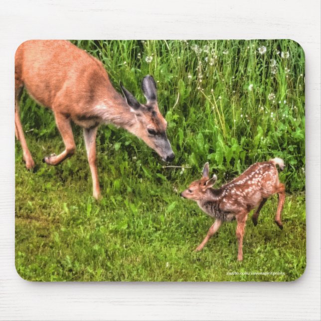 Tapis De Souris Mule Deer Fawn & Mother Wildlife Photo (Devant)