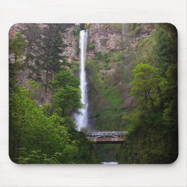 Tapis De Souris Multnomah Falls Bridge Repair (Devant)