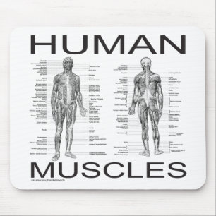 Tapis De Souris Muscles humains et anatomie
