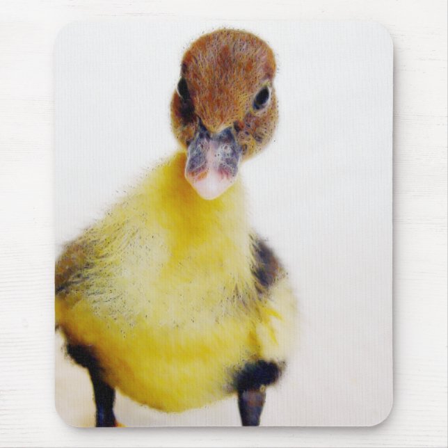 Tapis De Souris Muscovy Duckling (Devant)