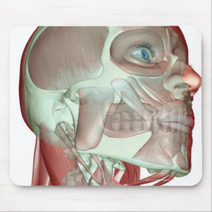 Tapis De Souris Musculosquelette de la tête et du cou 3