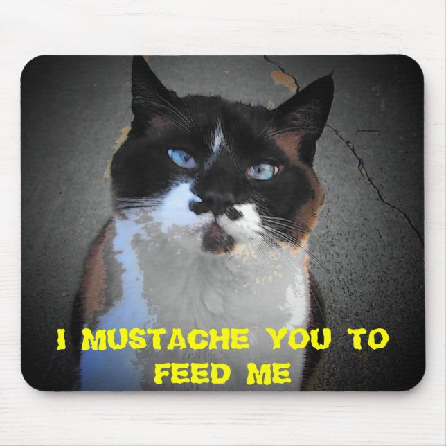 TAPIS DE SOURIS MUSTACHE YOU CAT EST FAIM (Devant)