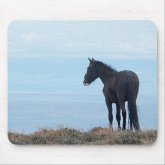 Tapis De Souris Mustang Sauvage