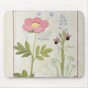 Tapis De Souris Myanthos de Paeonia ou pivoine, et d'Orchis
