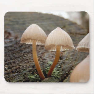 Tapis De Souris Mycena inclinata Champignon Mat