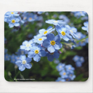 Tapis De Souris Myosotis