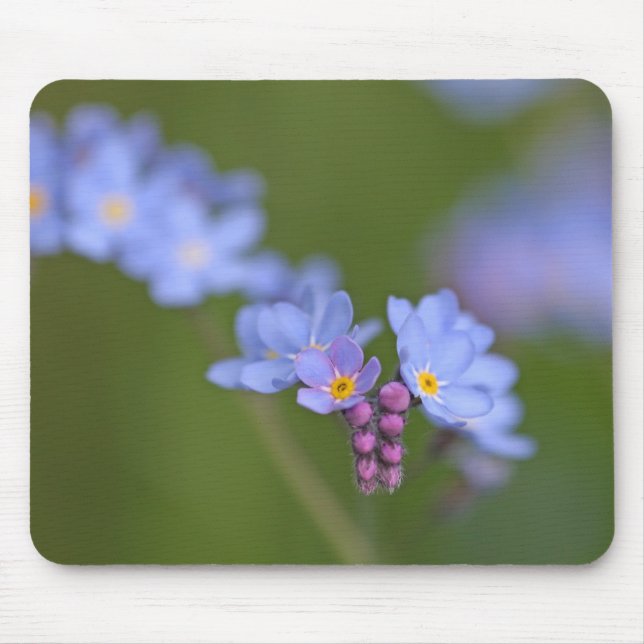Tapis De Souris Myosotis des marais (Devant)