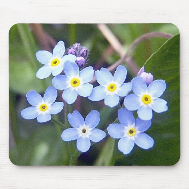Tapis De Souris Myosotis des marais 2 Mousepad (Devant)