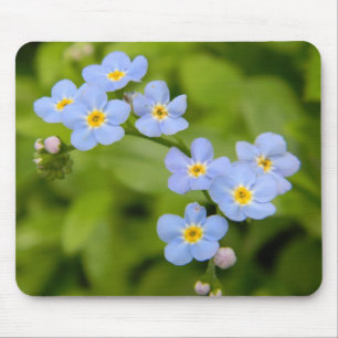 Tapis De Souris Myosotis des marais Mousepad
