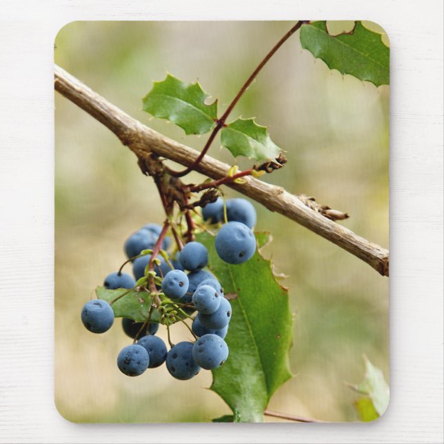 Tapis De Souris Myrtille Mousepads (Devant)