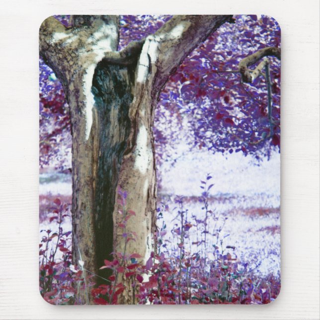 Tapis De Souris Mystical tree (Devant)