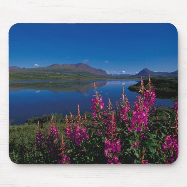 Tapis De Souris N.A., États-Unis, Alaska, Alaska Range Common (Devant)
