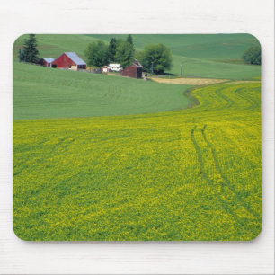 Tapis De Souris N.A., États-Unis, Idaho, Comté de Latah, près de G