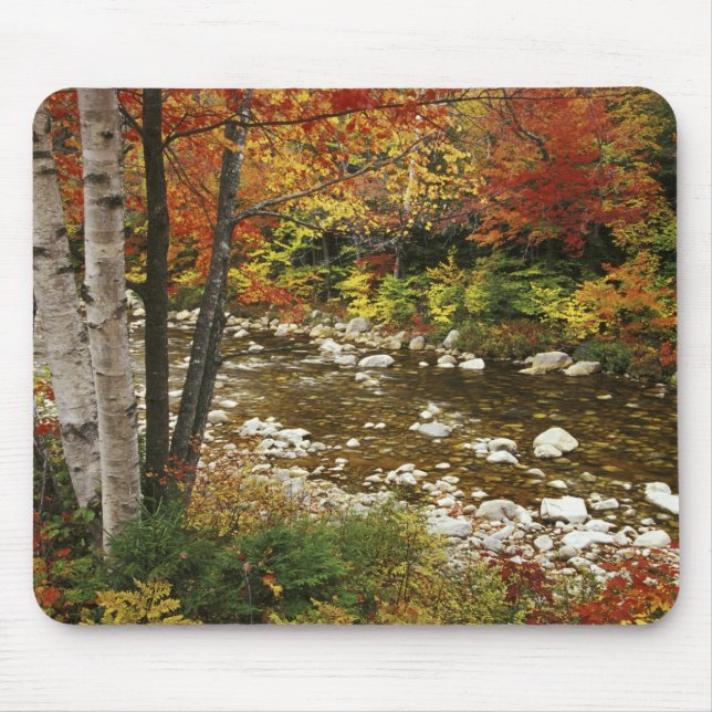 Tapis De Souris N.A., États-Unis, New Hampshire, White Mountains, (Devant)
