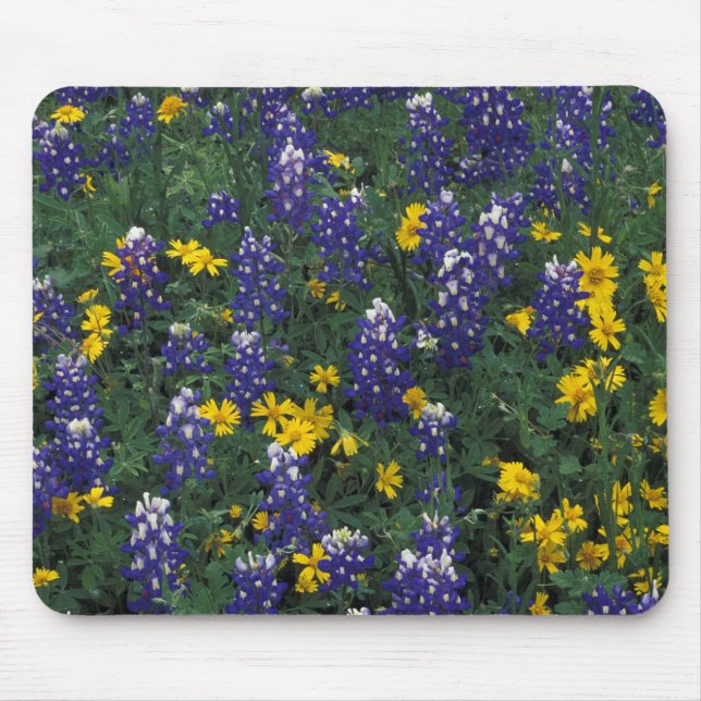 Tapis De Souris N.A, États-Unis, Texas, Marble Falls, Bleus Bonnet (Devant)