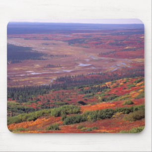 Tapis De Souris NA, États-Unis, Alaska, Parc national Denali, Vue