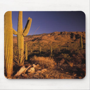 Tapis De Souris NA, États-Unis, Arizona, Saguaro National Monument