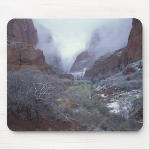Tapis De Souris NA, États-Unis, Utah, Zion NP, tempête de neige pr