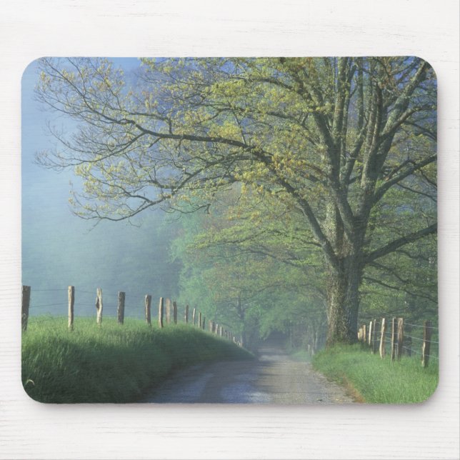Tapis De Souris NA, USA, Tennessee, Cades Cove, Super Smoke (Devant)
