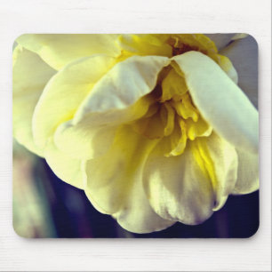 Tapis De Souris Narcissus Daffodil