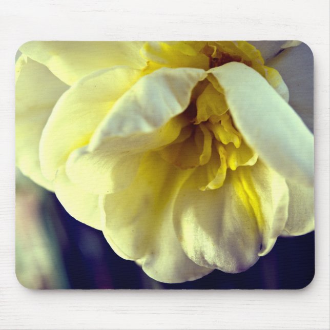Tapis De Souris Narcissus Daffodil (Devant)