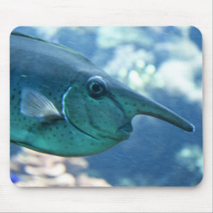 Tapis De Souris Naso brevirostris