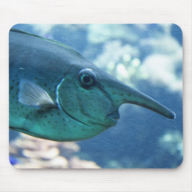 Tapis De Souris Naso brevirostris (Devant)